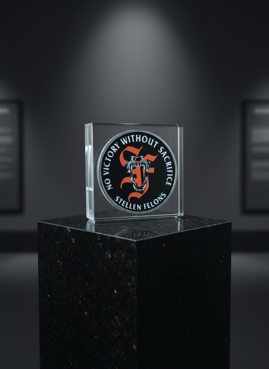 No Victory Challenge Coin